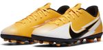 Chuteira Nike Campo Infantil Vapor 13 Club Fg Cod: 14008