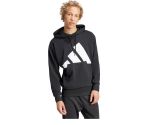 Moletom Adidas Moletom Big Logo Cod. 17343