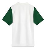 Camisa Puma Palmeiras Torcedor Away Cod. 17184