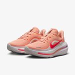 Tenis Nike Air Winflo 12 Cod. 18074