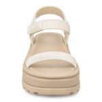 Sandalia Melissa M Lover Pa M-553