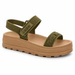 Sandalia Melissa M Lover Pa M-552