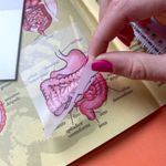 Bloco Notas Adesivas Transparente Cis 50 Folhas - Para Lembretes e Recados Invisível
