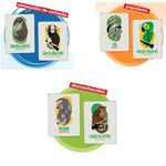 Borracha Natural Mercur Biomas do Brasil Animais Fofos