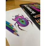Lápis de Cor Bic Intensity Bicolor 36 Cores