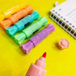 Kit 6 Marca Texto Fofo Bombom Picnic LeoArte - Duas Pontas - Chanfrada e Redonda