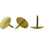 Percevejo Latonado Dourado BRW - 100 unidades