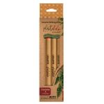 Kit 4 Canetas Plantaholic Corpo Reciclado
