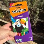 Lápis de Cor Bic Evolut 12 Cores