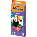 Lápis de Cor Bic Evolut 12 Cores