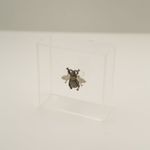 Acrílico Mini Abelha