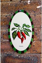 Azulejo Oval - Pimenta - Greghi Design 13x23x1cm