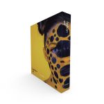 Book Box - Fashion Art