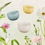 Bowl Jardin - Meringue - Le Creuset 320ml
