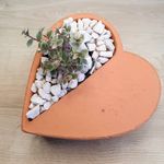 Cachepot em Cimento | Coração Terracota