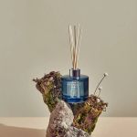 Difusor Musgo de Carvalho 200ml - Lenvie
