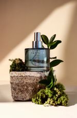 Home Spray Musgo de Carvalho - 200ml - Lenvie