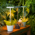 Luminária Poldina Reverso - Corten - Zafferano
