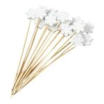 Palitopara Aperitivos Snow