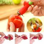 Removedor de Talo de Tomates