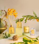 Sabonete Líquido Vanilla Bloom 200ml- Lenvie + Patbo