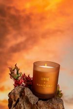 Vela Perfumada Terra do Sol+Água de Coco