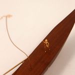 Escultura Canoa Navego em Minhas Memórias - DZT