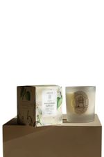 Vela Perfumada Patchoulli Vanilla -  210g
