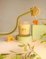 Vela PerfumadaVanilla Bloom- Patbo 210g