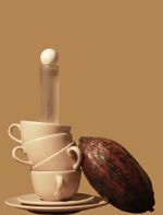 Body Mist 100ml Capuccino Mocha - Essentia