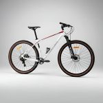 MTB CARBONO TWITTER STORM2.0 SRAM 11V