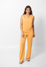 Conjunto Helena Salmão 