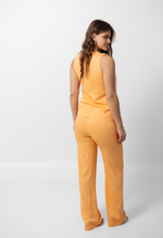 Conjunto Helena Salmão 