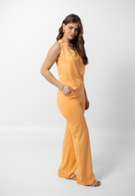 Conjunto Helena Salmão 