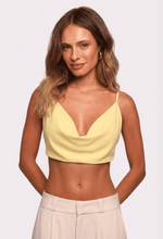 TOP CRIS 
