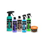 KIT LIMPEZA PREMIUM INTERNA CARRO