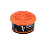 ODORIZADOR POTE CARRO NOVO V8  60G