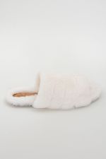 Fuzzy Slide
