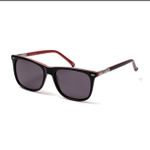ÓCULOS DE SOL TIGOR STT120 48C04