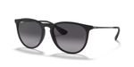 ÓCULOS DE SOL RAYBAN RB4171L6228G