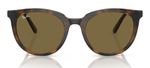 ÓCULOS DE SOL RAYBAN RB4383L71073