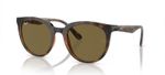 ÓCULOS DE SOL RAYBAN RB4383L71073