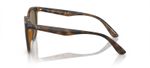 ÓCULOS DE SOL RAYBAN RB4383L71073