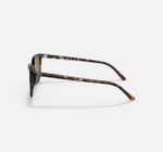 ÓCULOS DE SOL ACETATO RAYBAN 0RB2197