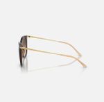 ÓCULOS DE SOL ACETATO RAYBAN RB4403L6690135