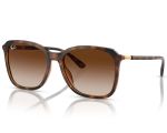 ÓCULOS DE SOL ACETATO RAYBAN 0RB4417L