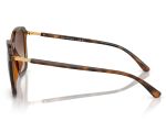 ÓCULOS DE SOL ACETATO RAYBAN 0RB4417L