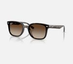 ÓCULOS SOLAR ACETATO UNISEX RAYBAN 0RB4461D