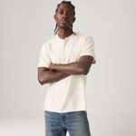 Camiseta Masculina Levi's Relaxed Henley (005HC0001)