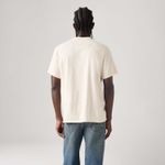 Camiseta Masculina Levi's Relaxed Henley (005HC0001)